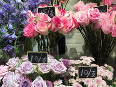 -植物学家的女儿(北马道巷店)