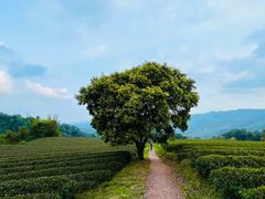 -广东天露山旅游度假区