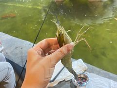 -光头佬钓虾场·烧烤·聚餐·亲子(金沙洲店)