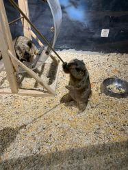 -酷嗒动物文化乐园(cutezoo西溪乐天城店)