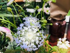 -北马山庄植趣咖啡