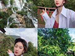 -呀诺达热带雨林