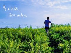 -桤木河湿地公园