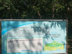 -官港森林公园