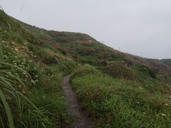 -东极岛景区-青浜岛