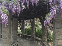 -南开大学滨海学院