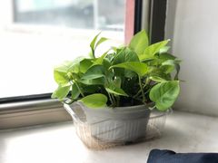 -maan coffee漫咖啡(通州店)