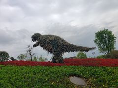 -铁山坪森林公园