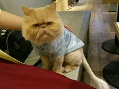 -小时光咖啡馆(开森度假森林店)