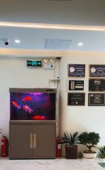 -海涛医疗美容·面部抗衰·注射美鼻