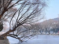 -石家庄市动物园