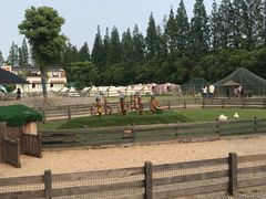 -前小桔亲子创意农场·草莓采摘·露营烧烤