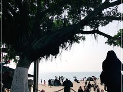 -白城沙滩