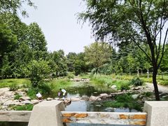 -郑州植物园