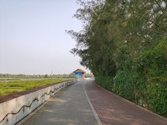 -北海金海湾红树林生态旅游区