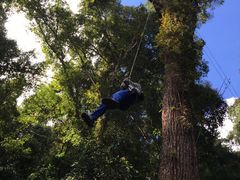 -清迈丛林飞跃 JungleFlight