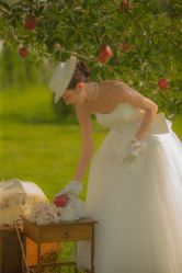 -巴黎春天婚纱摄影STUDIO·定制