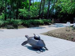 -广东惠东海龟国家级自然保护区