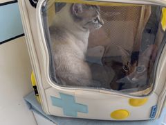 -中农国际动物医院24小时·猫科·骨科·急重症中心