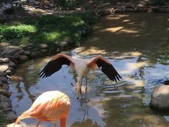 -昆明动物园