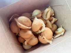 -茶力的小怪兽(中康店)