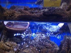 -新海渔港·胶东海鲜家常菜·家宴(奥体中心店)