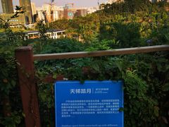 -壮乡楼民俗文化苑(李宁体育园店)