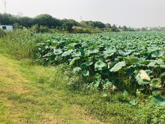 -东湖落雁景区