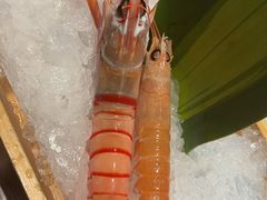 -Mr.Fish鱼鲜生海鲜放题(高德置地冬广场店)