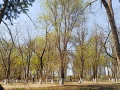 -长白岛森林公园