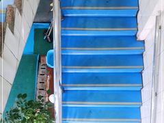 -温州体育中心游泳馆