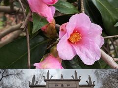 -杭州西湖风景名胜区-钱祠表忠