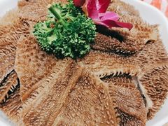 -清真军邺·金富苑肥牛(石坡街旗舰店)