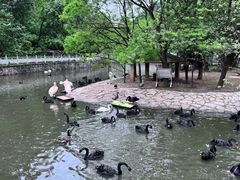 -黔灵山公园