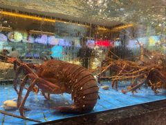 -聚福宝合苑食府(南头镇店)