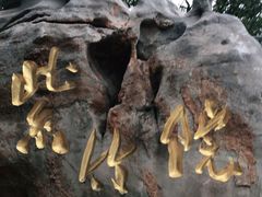 -紫竹院公园-东门停车场