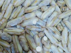 -港畔赶海蒸汽海鲜烧烤自助(仙螺岛店)