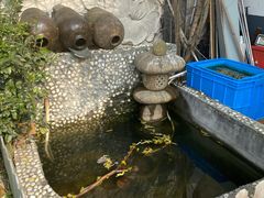 -大莲湖农家乐(青西郊野公园店)