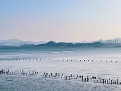 -深圳湾公园(南山区)