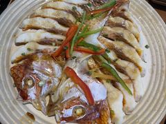 清蒸彩虹斑-九井澤精致料理(金茂店)