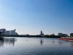 -莲花池公园