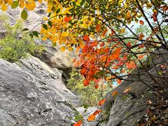 -秦岭终南山世界地质公园翠华山景区