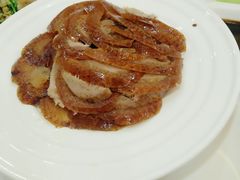 -津悦·正阳春烤鸭(红旗南路店)