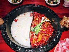 -袁老四重庆老火锅(桐梓坡店)