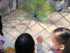 -长白岛森林公园
