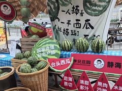 -鹏欣水游城