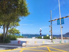 -杨梅坑