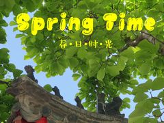 -北京石刻艺术博物馆(五塔寺)