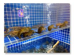-星记小馆·小蓝龙·老南京砂锅菜(上海路店)