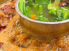 -金鼎雪山牦牛杂火锅(理县总店)